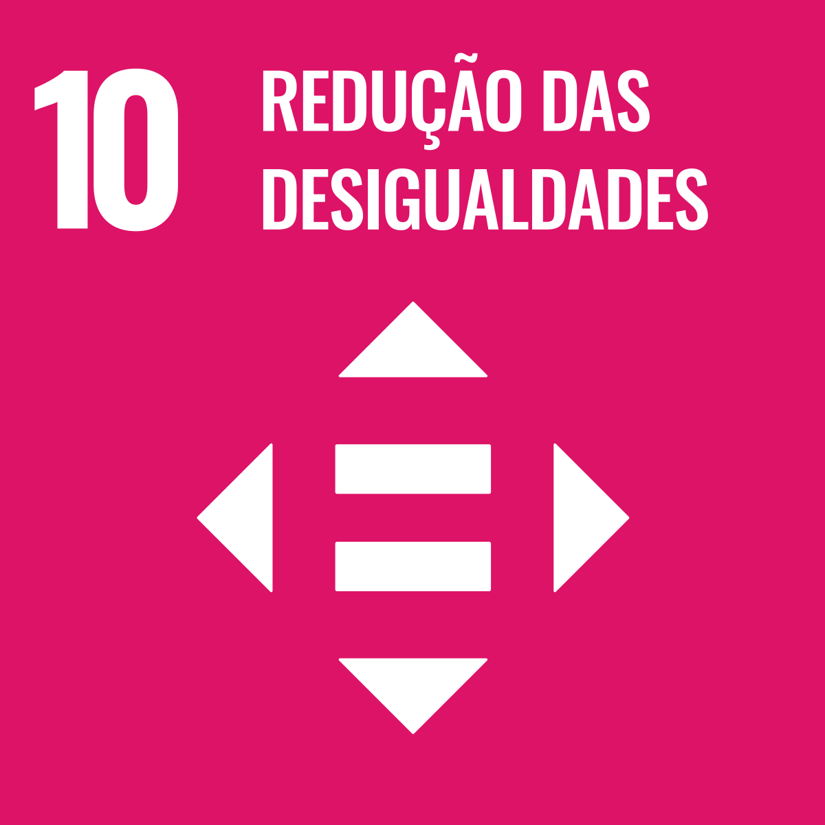 ODS 10 — Redução das Desigualdades