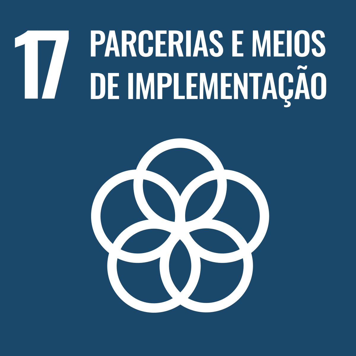 ODS 17 — Parcerias e Meios de Implementação